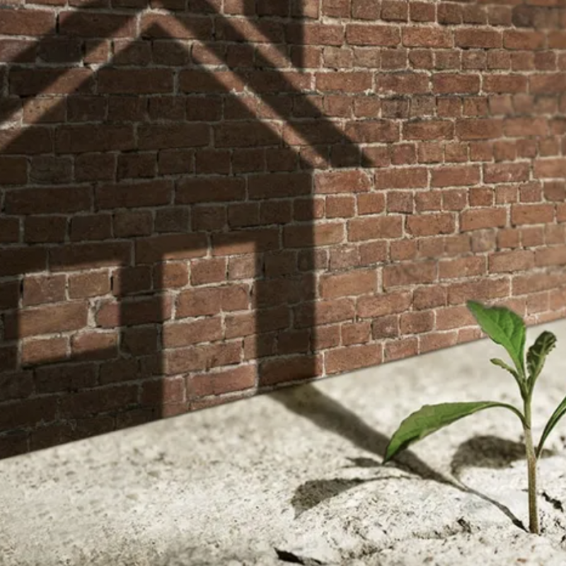 Littleton Colorado Real Estate