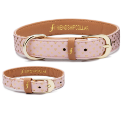 friendshipcollars